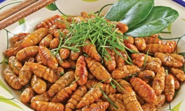 Ảnh minh họa: Internet