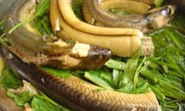 Ảnh minh hoạ: Internet