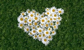 Ảnh minh hoạ: Internet