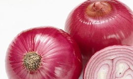 Ảnh minh hoạ: Internet