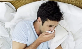 Ảnh minh hoạ: Internet