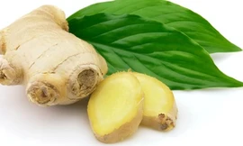 Ảnh minh họa: Internet