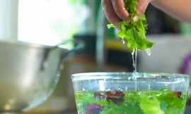 Ảnh minh họa: Internet