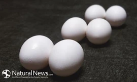 Ảnh minh hoạ: Internet