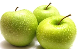 Ảnh minh hoạ: Internet