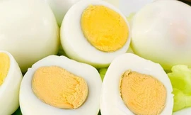 Ảnh minh họa: Internet