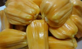 Ảnh minh họa: Internet