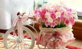 Ảnh minh họa: Internet