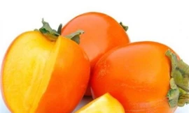 Ảnh minh hoạ: Internet