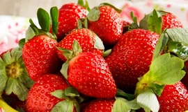 Ảnh minh họa: Internet