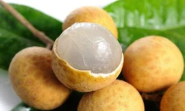 Ảnh minh họa: Internet