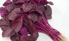 Ảnh minh hoạ: Internet