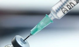 Ảnh minh họa: Internet