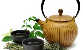 Ảnh minh họa: Internet