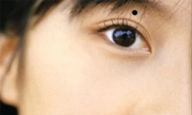 Ảnh minh họa: Internet