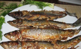 Ảnh minh hoạ: Internet