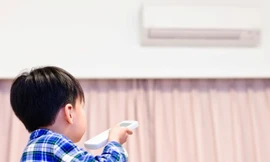 Ảnh minh họa: Internet