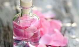 Ảnh minh hoạ: Internet