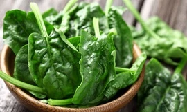 Ảnh minh hoạ: Internet