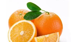 Ảnh minh hoạ: Internet