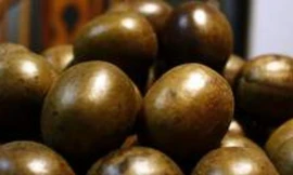 Ảnh minh hoạ: Internet