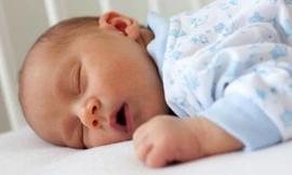 Ảnh minh họa: Internet