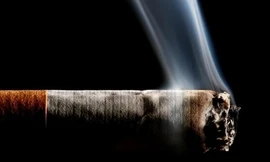 Ảnh minh họa: Internet