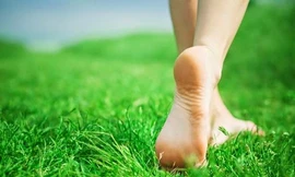 Ảnh minh hoạ: Internet