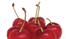 Ảnh minh hoạ: Internet