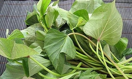 Ảnh minh hoạ: Internet