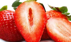 Ảnh minh họa: Internet