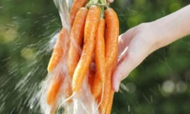 Ảnh minh họa: Internet