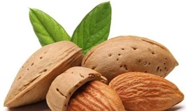 Ảnh minh hoạ: Internet