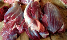 Ảnh minh họa: Internet