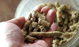 Ảnh minh họa: Internet