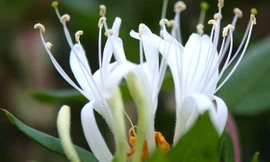 Ảnh minh họa: Internet