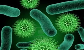 Ảnh minh họa: Internet