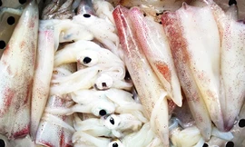 Ảnh minh họa: Internet