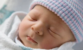 Ảnh minh họa: Internet