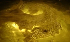 Ảnh minh hoạ: Internet