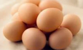 Ảnh minh họa: Internet