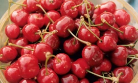 Ảnh minh hoạ: Internet