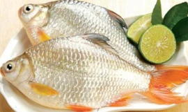 Ảnh minh họa: Internet