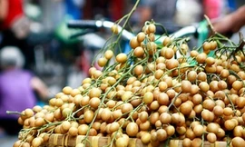 Ảnh minh họa: Internet