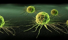 Ảnh minh họa: Internet