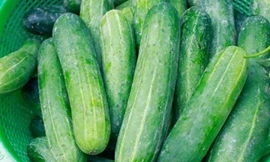 Ảnh minh họa: Internet