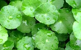 Ảnh minh họa: Internet