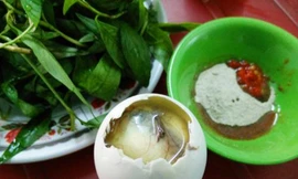 Ảnh minh hoạ: Internet