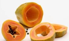 Ảnh minh họa: Internet