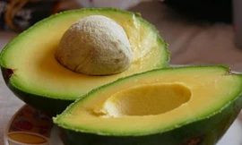 Ảnh minh họa: Internet